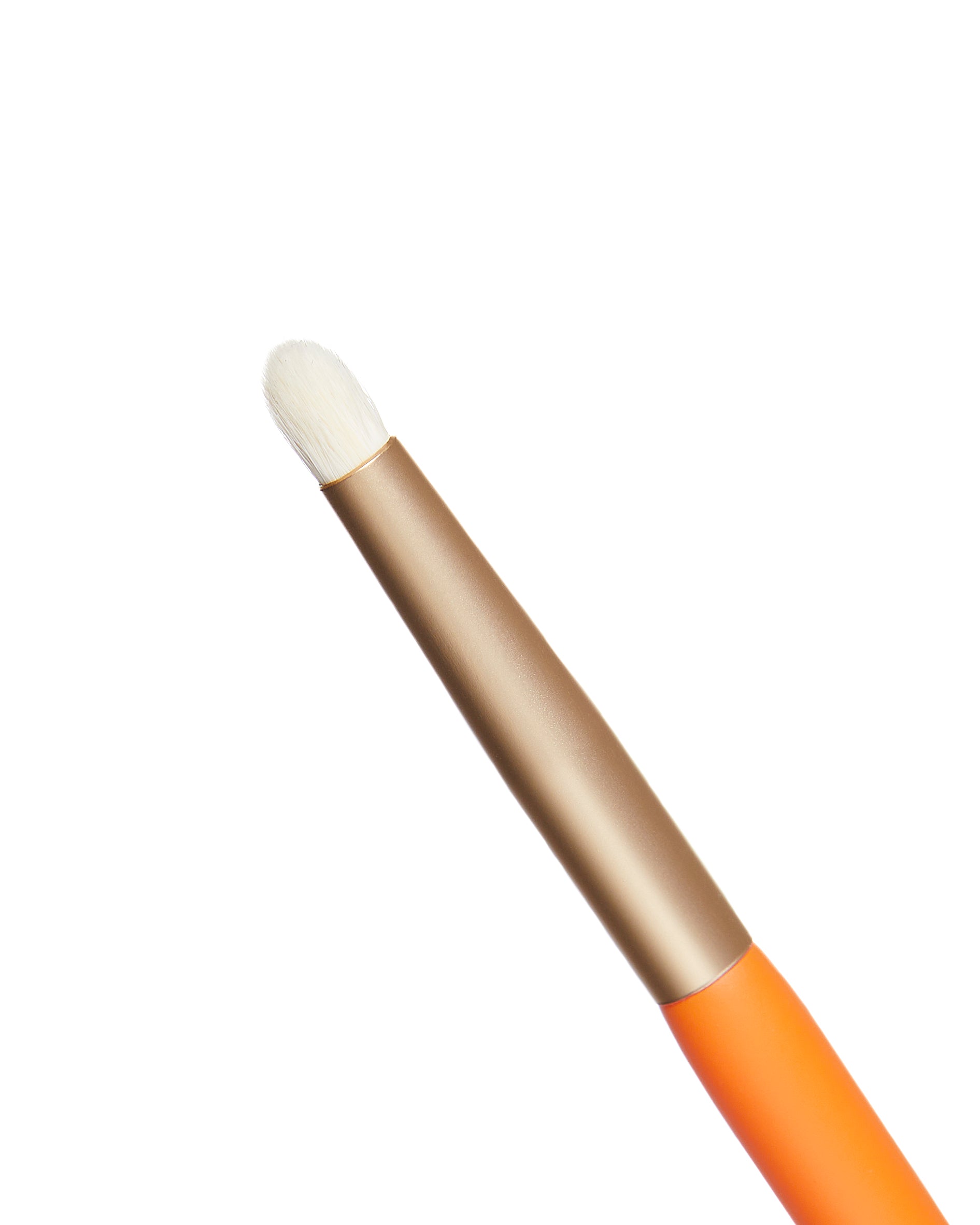 Precision eyeliner brush